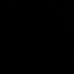 Meet your Posher, Lou